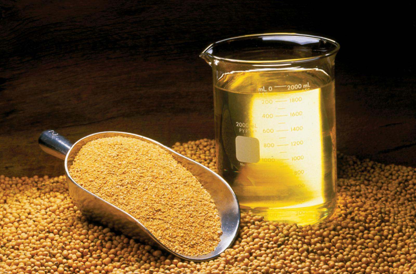 Organic Soybean Meal - Nature Bio Foods