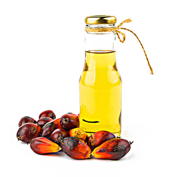 CRUDE PALM OIL  National Commodity Derivatives Exchange 